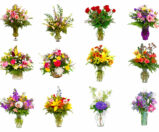 Vasos com flores naturais