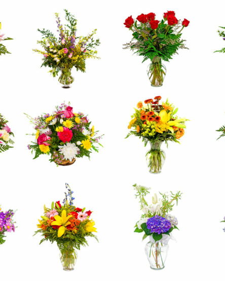 Vasos com flores naturais
