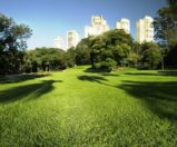 Tudo sobre o bairro Panamby. Venha conhecer!