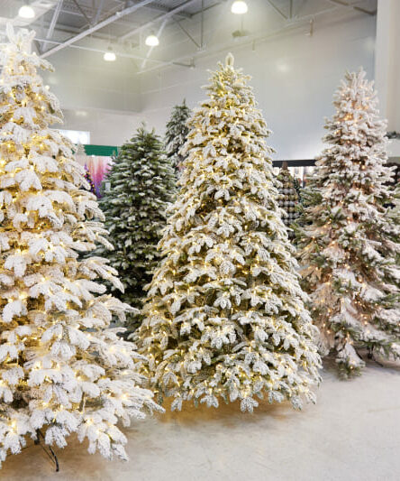 Árvore de Natal: Tendências para 2020
