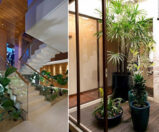 Confira 3 dicas fáceis para montar de um jardim simples dentro de casa