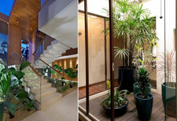 Confira 3 dicas fáceis para montar de um jardim simples dentro de casa
