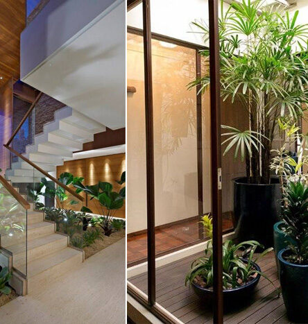 Confira 3 dicas fáceis para montar de um jardim simples dentro de casa