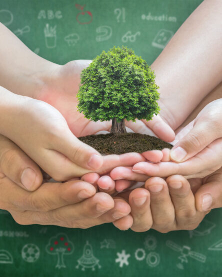 Semana do Meio Ambiente: 31 de maio a 5 de junho #UmaSóTerra