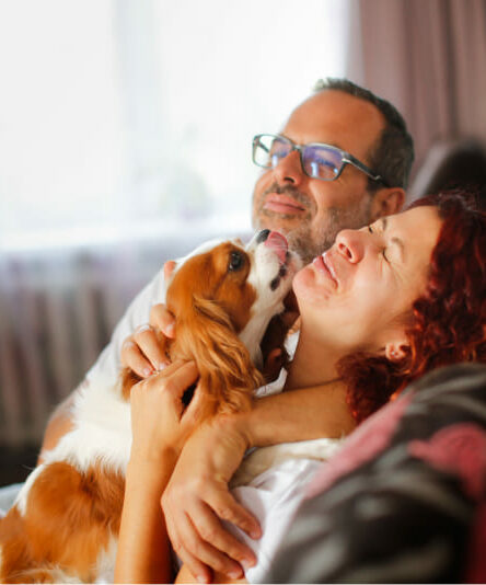 Qual cachorro é o mais indicado para criar em um apartamento?