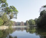Quais os principais parques da Zona Norte? Conheça 7 opções!
