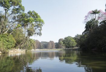 Quais os principais parques da Zona Norte? Conheça 7 opções!