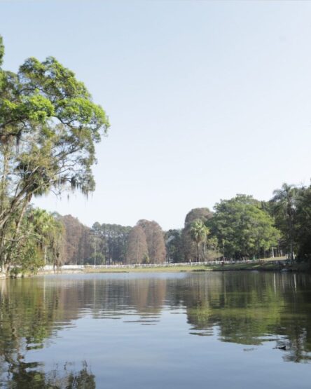 Quais os principais parques da Zona Norte? Conheça 7 opções!