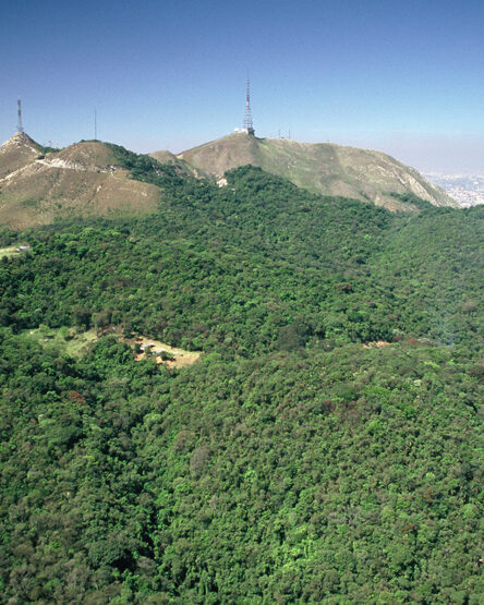 Onde fica o Pico do Jaraguá? Saiba como chegar!